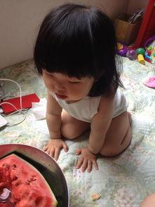 理性吃瓜宝宝萌,揭秘网络舆论背后的理性之光