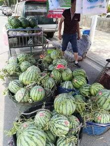 茂名夜市吃瓜事件,一场引发热议的街头冲突