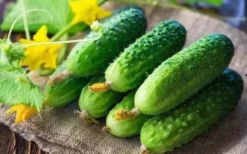 春季吃芽夏季吃瓜,顺应时节的养生饮食智慧