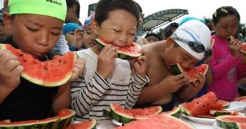 吃瓜的小能手,吃瓜小能手带你领略明星幕后故事