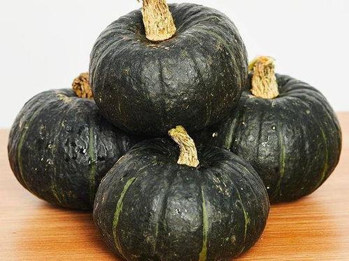 贝贝南瓜吃瓜少年,贝贝南瓜与吃瓜少年的甜蜜邂逅