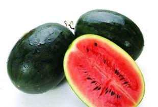 吃瓜瓤吃的是什么瓜,探寻不同瓜类的美味奥秘