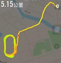 吃瓜群众小小号,揭秘吃瓜群众的趣味生活