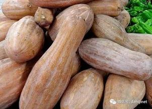 大黄方瓜怎么吃,大黄方瓜的多样食用方法探索