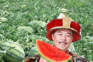 帝王吃瓜,揭秘古代帝王生活中的趣味瞬间