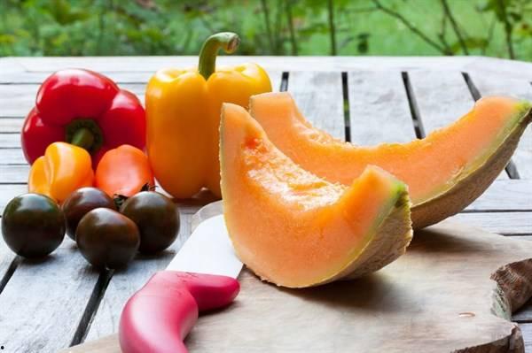 羊吃 哈密瓜,共享田园美好时光