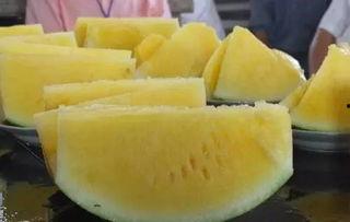 2000万吃瓜,2000万吃瓜群众见证的惊人事件