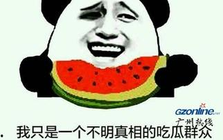 吃瓜的意思视频,一场视觉盛宴的幕后故事