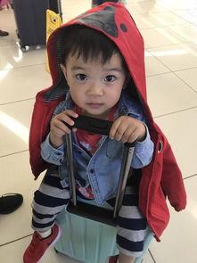 吃瓜小熊somi,揭秘娱乐圈的幕后故事