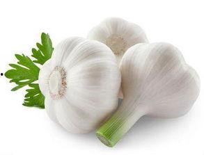 白瓜怎么吃才对,解锁健康美味新体验