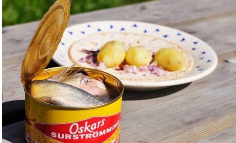 大瓜吃鲱鱼罐头,揭秘鲱鱼罐头背后的独特风味