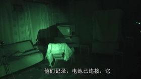 恐怖吃瓜群资源qq