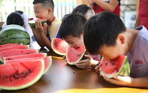 视觉盛宴吃瓜,一场视觉与味蕾的双重盛宴